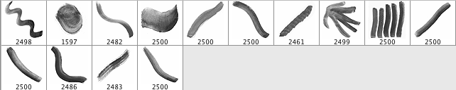 14 Hi-Res Watercolour PS Brushes - Schematic