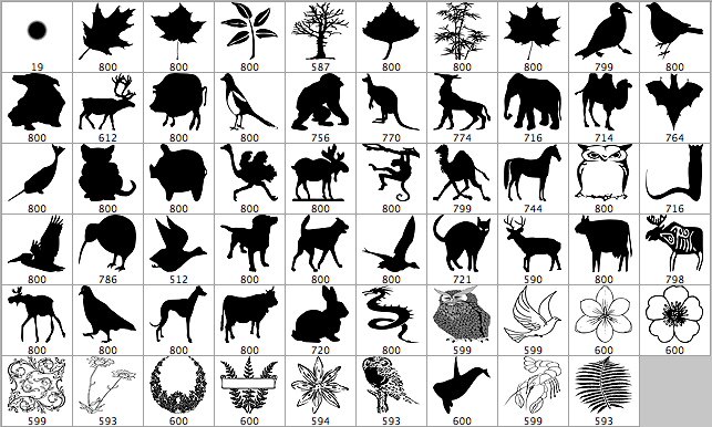 Plants And Animals - Schematic