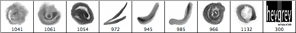 Soft Furry Watercolor Brushes - Schematic