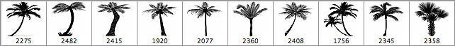 Palm Trees Brushes for PS - Free ABR Download | MyPhotoshopBrushes