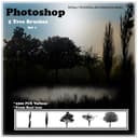 20 Free Tree Brushes - Free ABR Download | MyPhotoshopBrushes