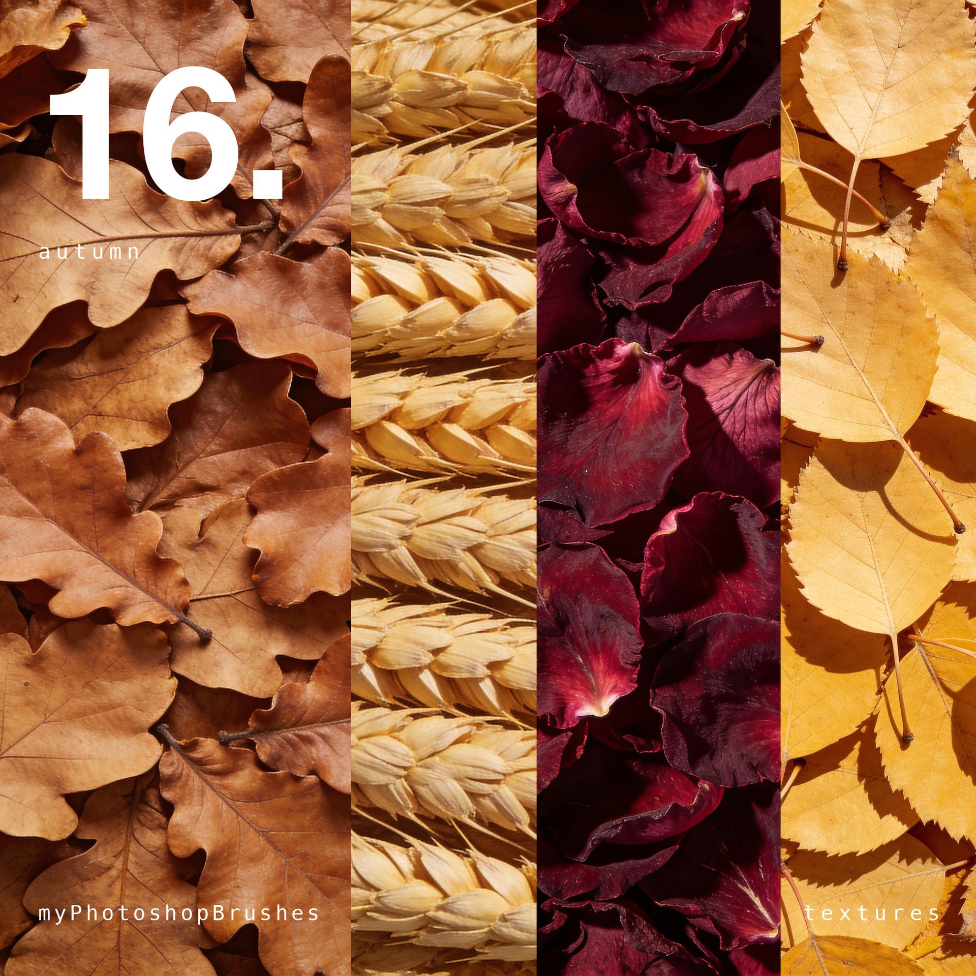Four vertical strips of dried autumn material: oak leaves, wheat ears, dark red rose petals and yellow birch leaves.
