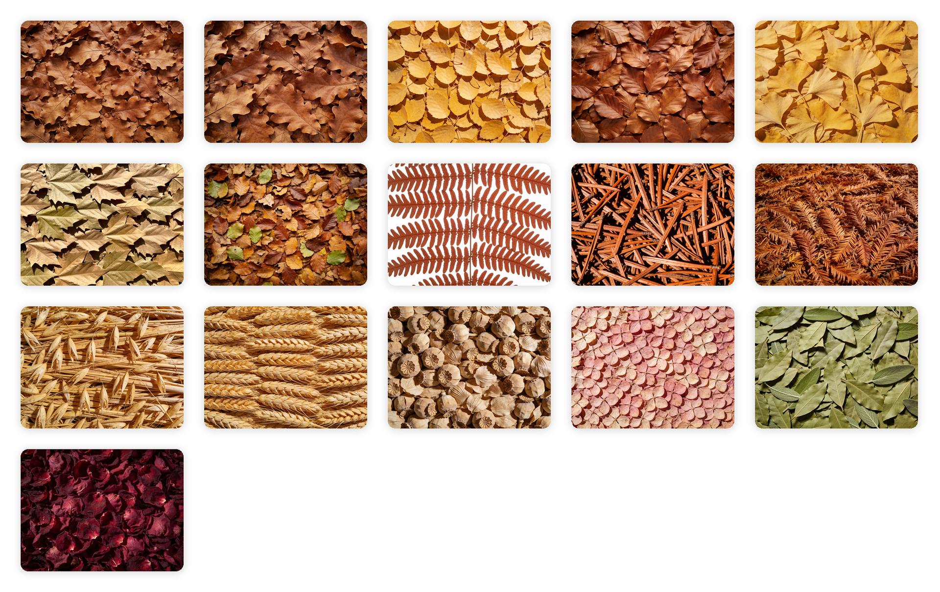 16 Free Autumn Textures - Schematic