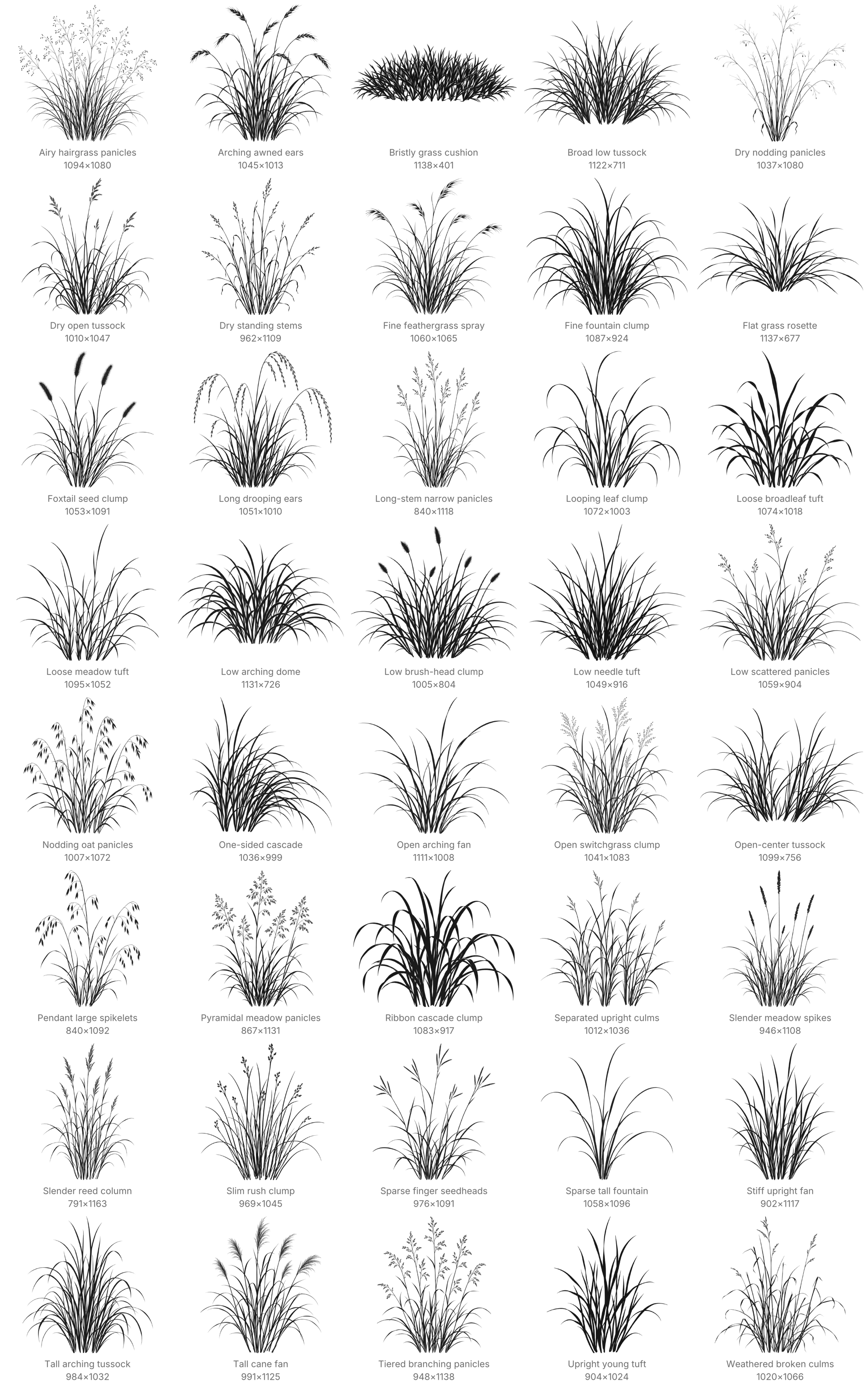 40 Free Meadow Grass Photoshop Brushes - Schematic