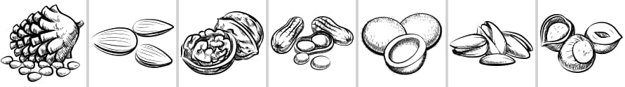 Nuts Custom Shapes - Schematic