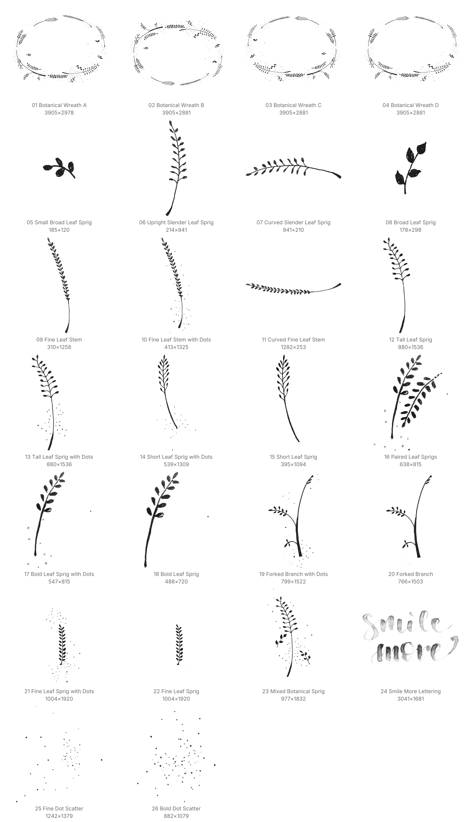 Plant Wreath Procreate Brushes - Schematic