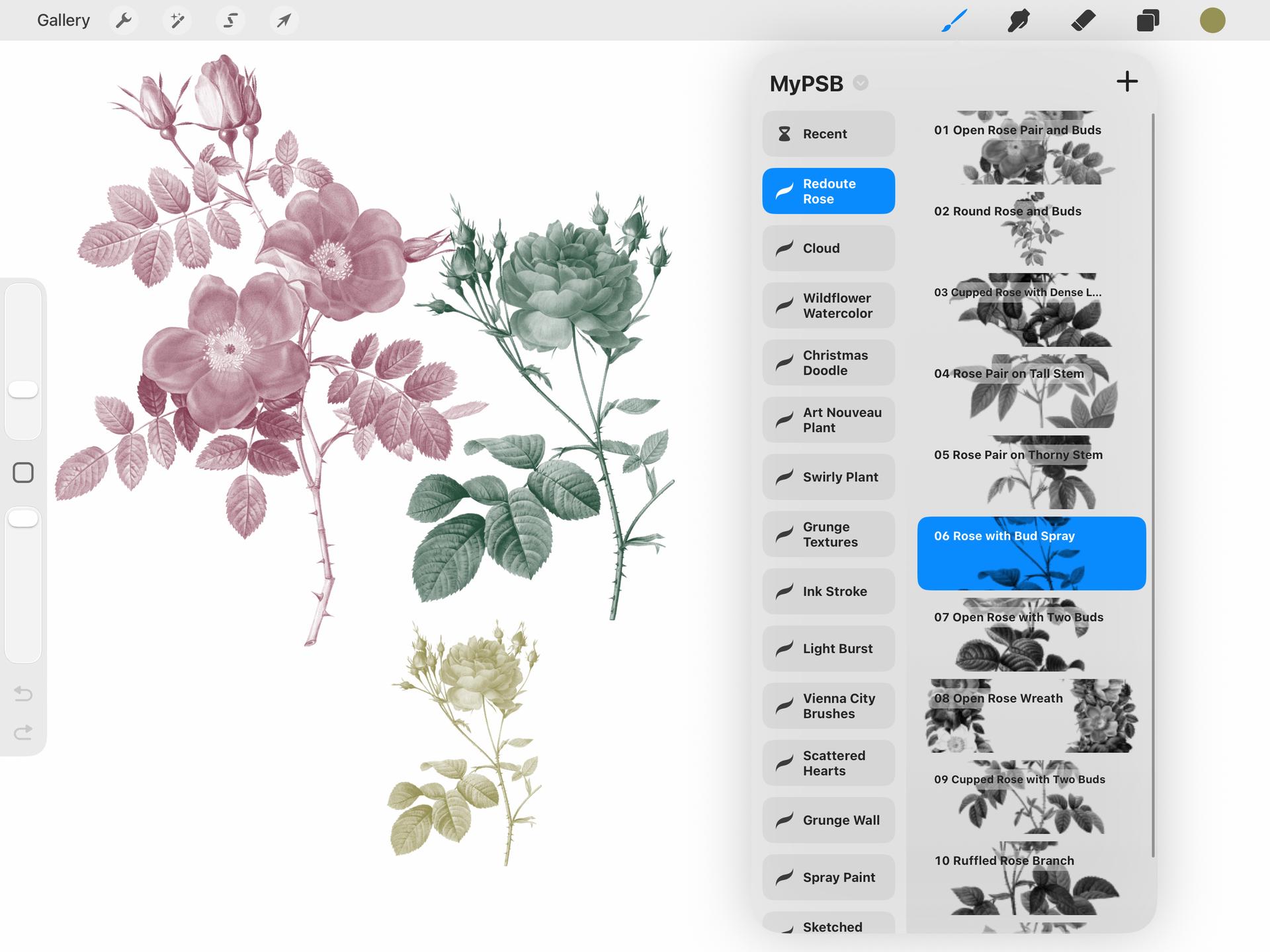 Redoute Rose Procreate Brushes - Thumbnail 2