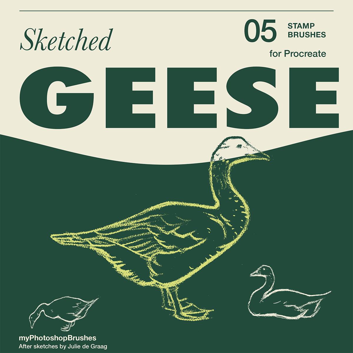 Sketched Geese cover with three goose stamps in forest green and cream, labelled five stamp brushes for Procreate