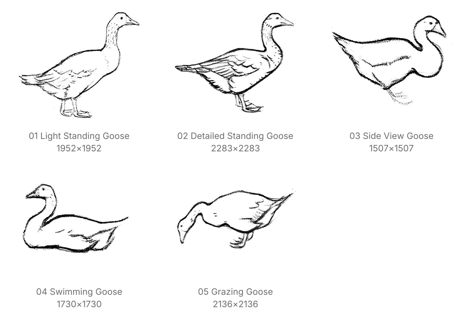 Sketched Geese Procreate Brushes - Schematic