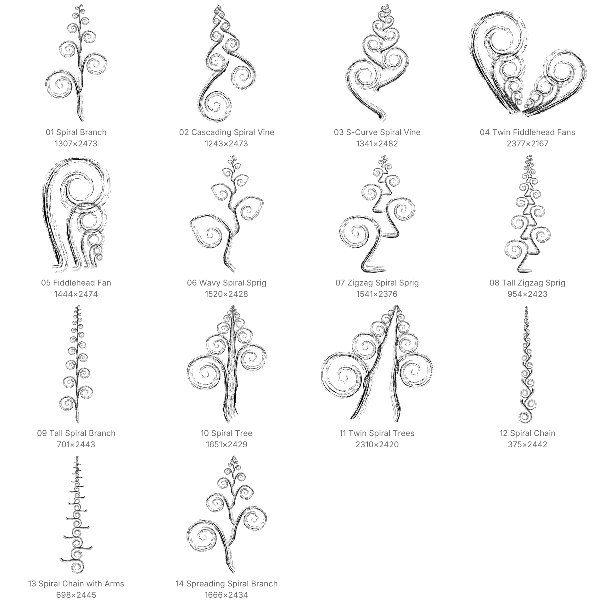 Swirly Plant Procreate Brushes - Schematic