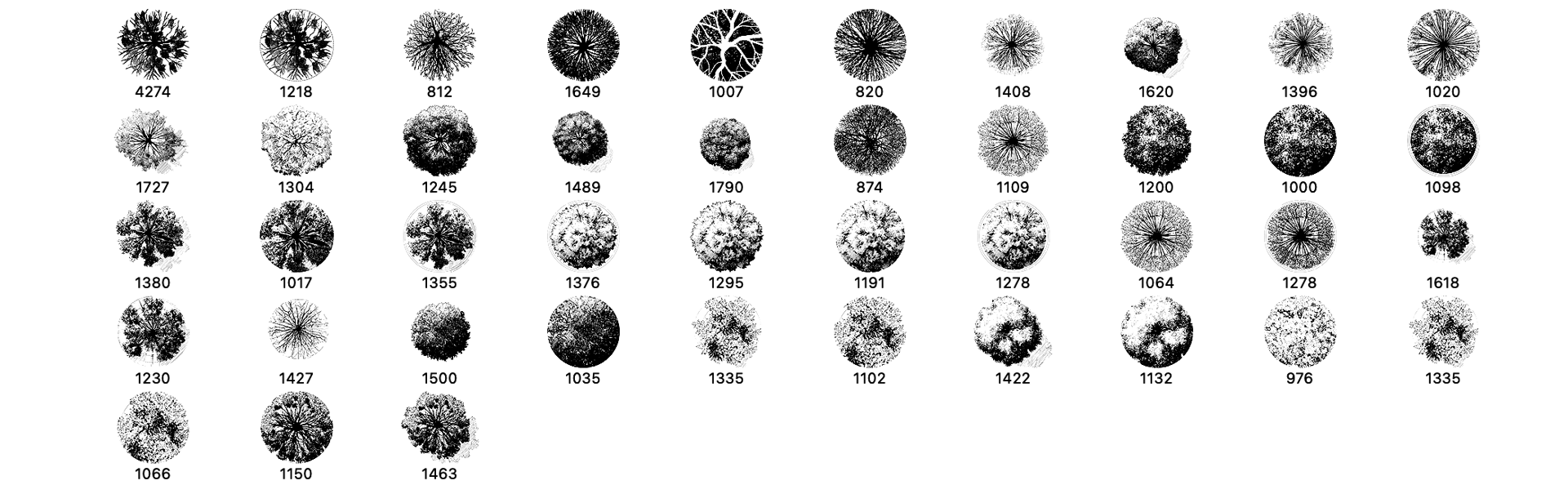 Tree Top View Photoshop Brushes - Schematic