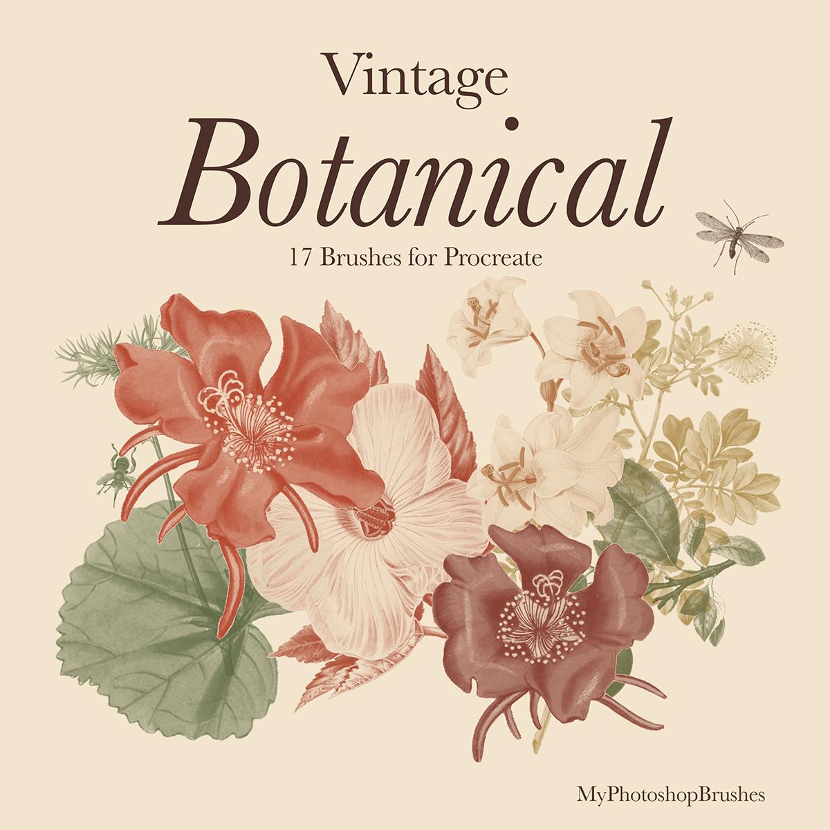 Vintage Botanical cover with layered red flowers, olive leaves and ochre botanical stamps on cream, labeled 17 Brushes for Procreate. 1