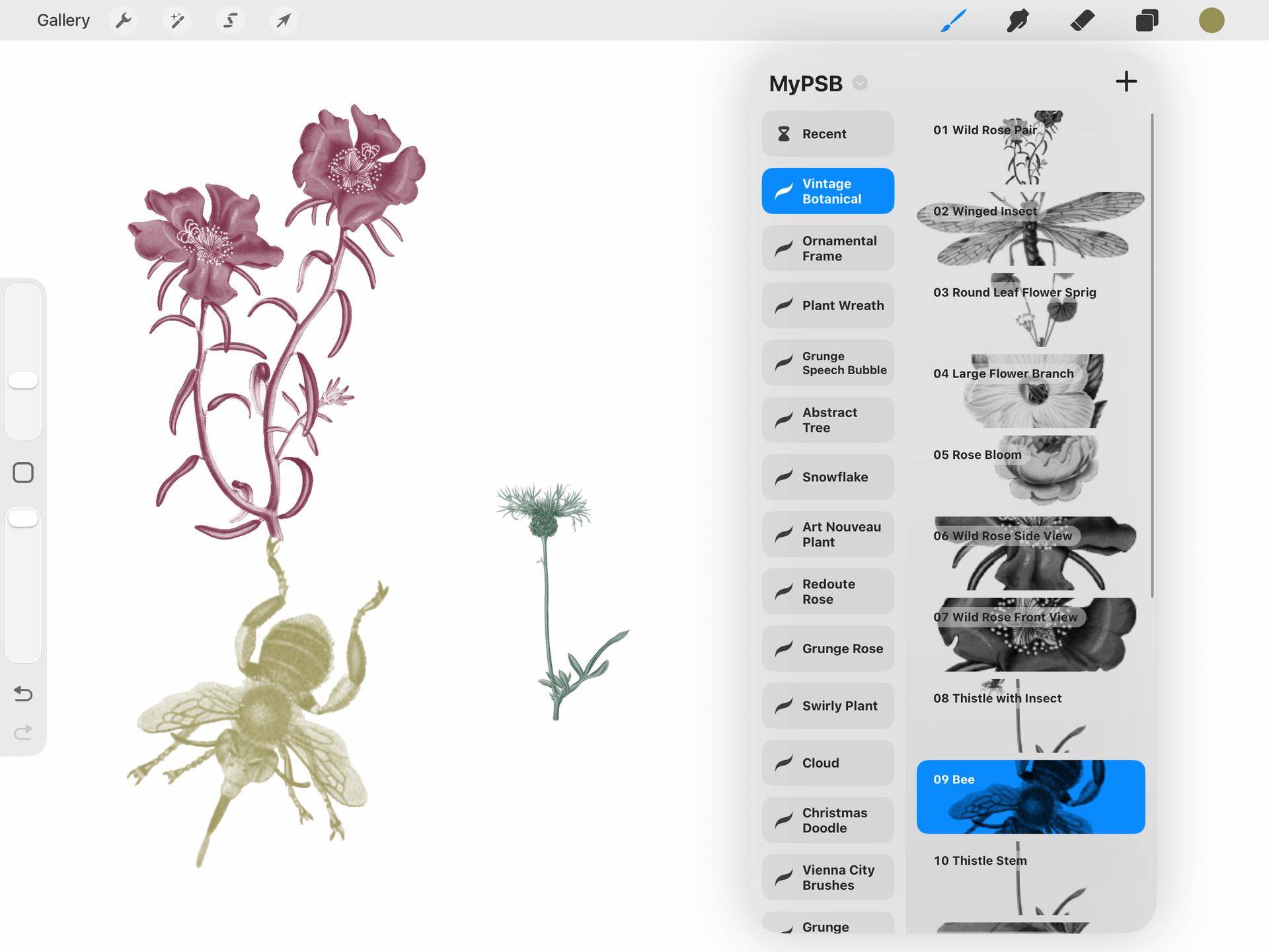 Vintage Botanical Procreate Brushes - Thumbnail 2