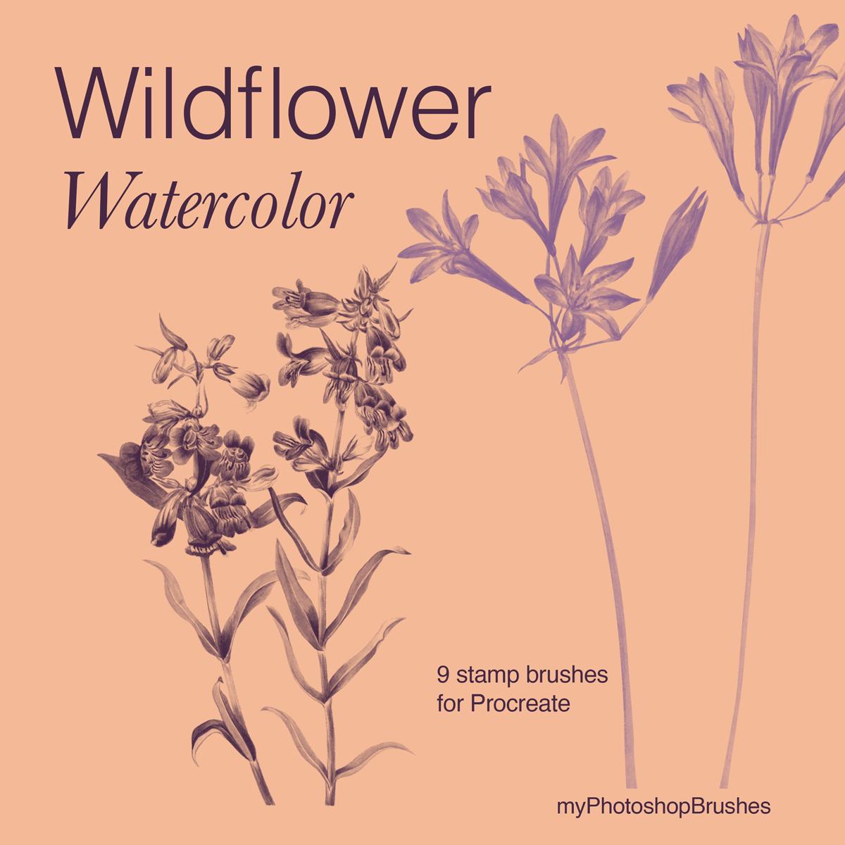 Wildflower Watercolor cover with aubergine and lavender botanical stamps on an apricot background, titled Wildflower Watercolor, 9 stamp brushes for Procreate.