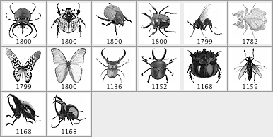 Hi-Res Photoshop Brushes - Bug 1 - Schematic