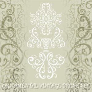 Ornamental Vintage Brush Set 1