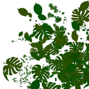 PLANTS BRUSHES
