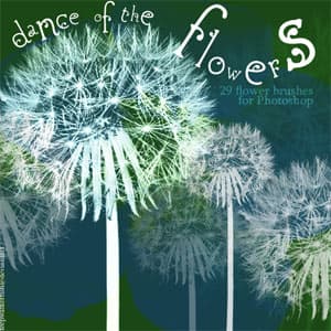 Dance of the flowers