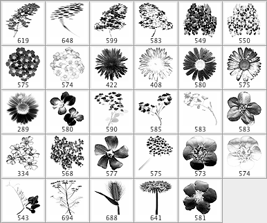 Dance of the flowers - Schematic