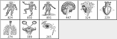 Physiology - Schematic