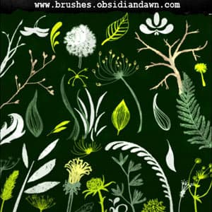 Foliage Sketches Brushes