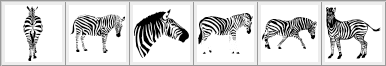 Zebra - Schematic