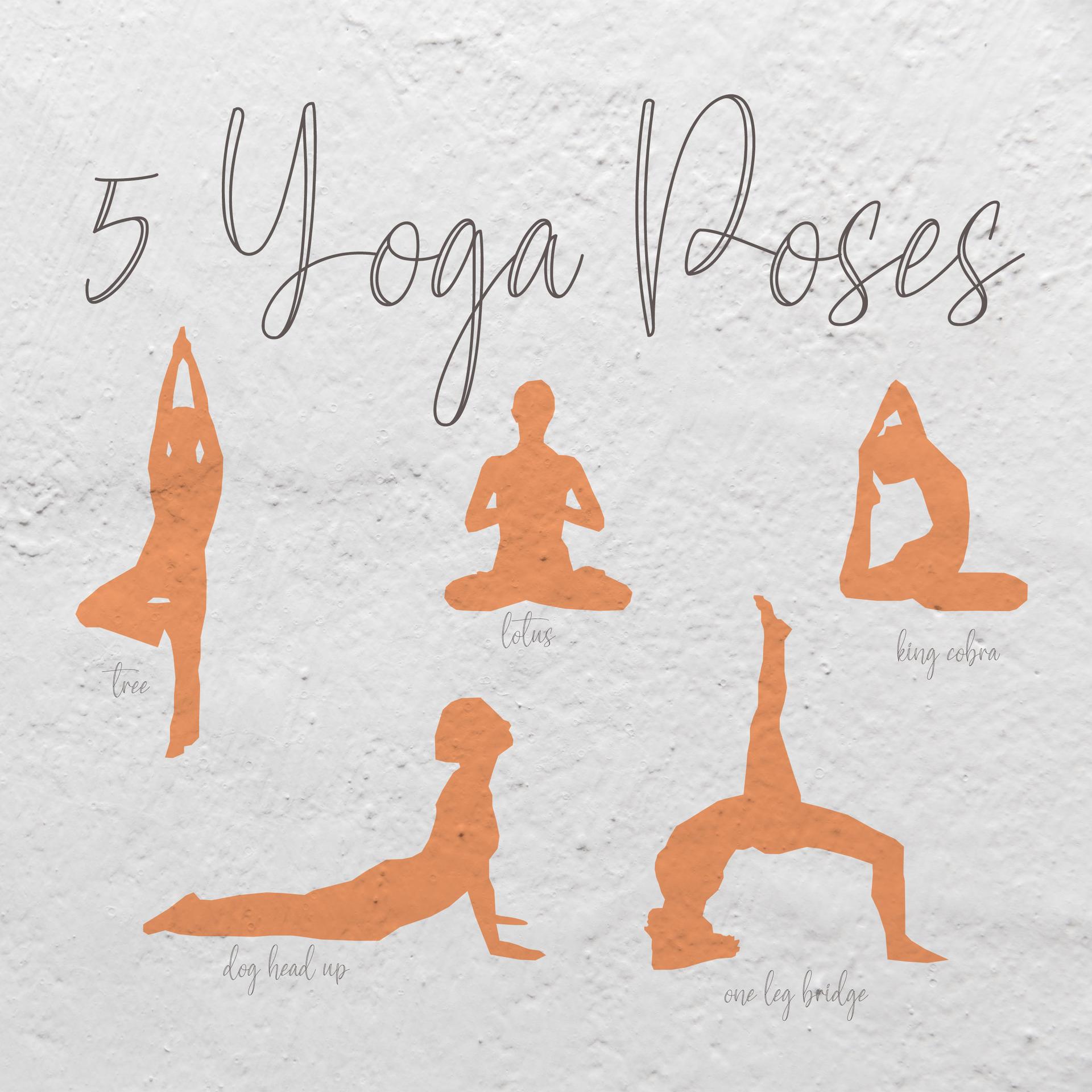 Free Yoga Photoshop Shapes