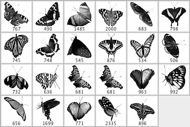 Butterflies - Schematic
