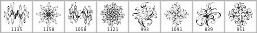Hand Drawn Floral Pattern Brushe - Schematic