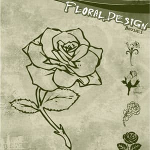 Floral Design Brushes
