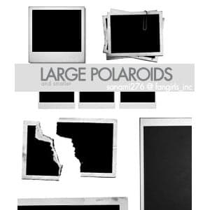 Large Polaroid Brushes