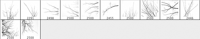 Wood Series Vol. 3 Winter Branch - Schematic