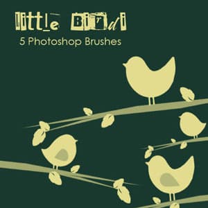 Little Birdi