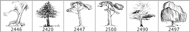Doodled Trees Hi-res PS Brushes - Schematic