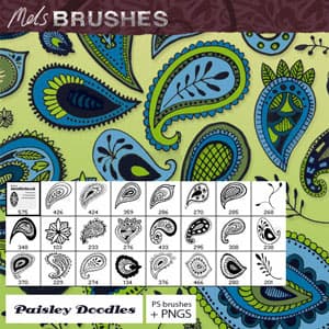 Hand drawn paisley