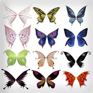 Butterfly Wings Brush Set - Preview 1