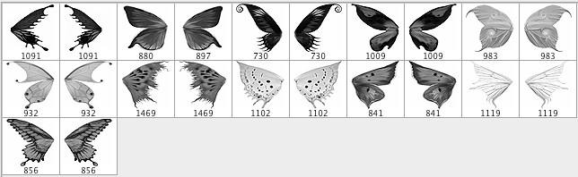 Butterfly Wings Brush Set - Schematic