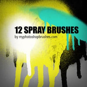 12 Spray Brushes