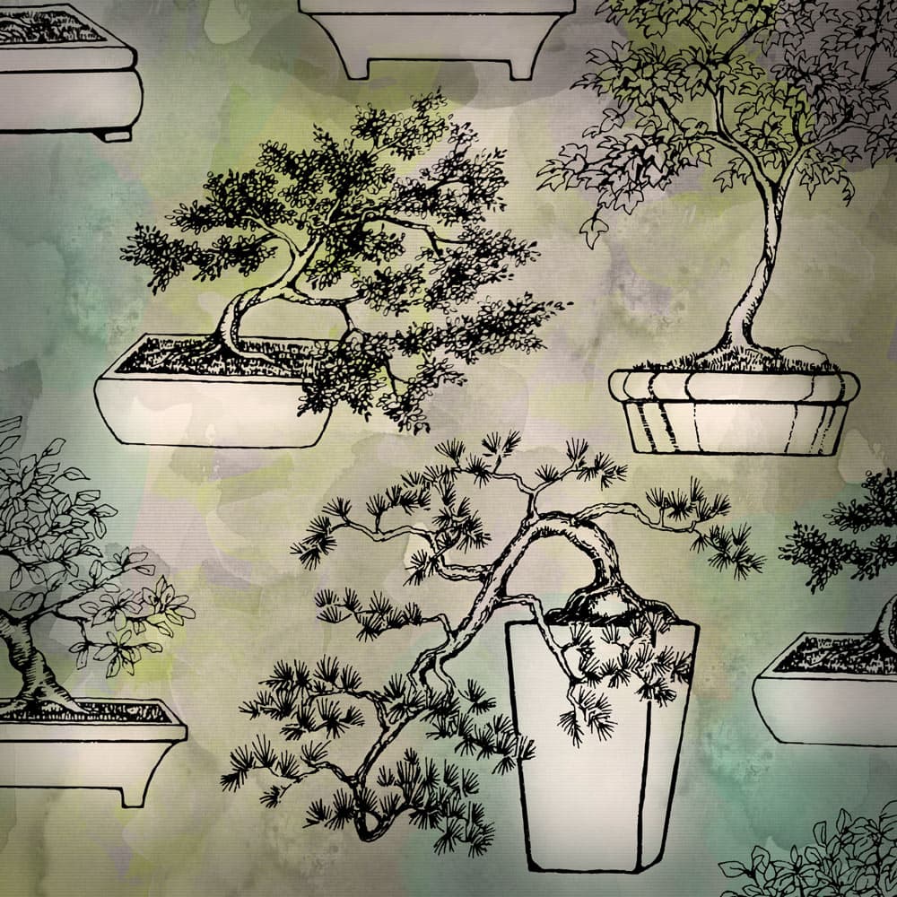 Bonsai Brushes for Photoshop