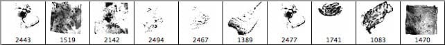 10 Paint Brushes - Schematic