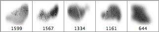 Gruge Photoshop Brushes Pack - Schematic