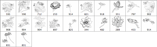 Chinese Painting Lotus - Schematic
