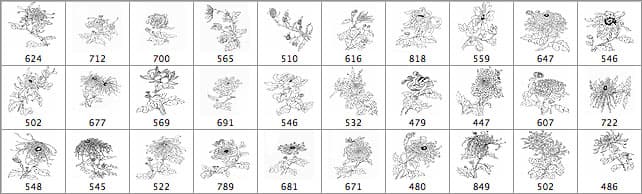  Chinese Painting Chrysanthemums - Schematic