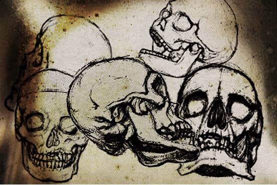 Hand Drawn Skull Brushes