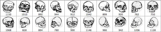 Hand Drawn Skull Brushes - Schematic