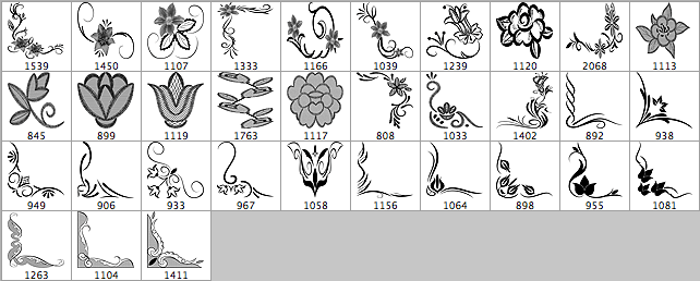 Floral Ornament Frames Brushes - Schematic
