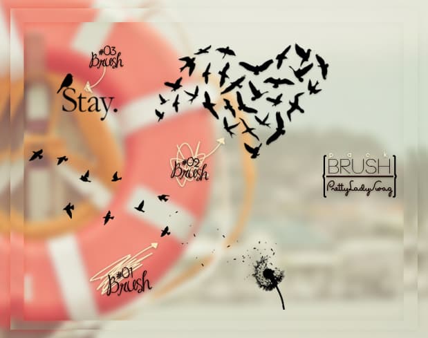 Pack de Brushes