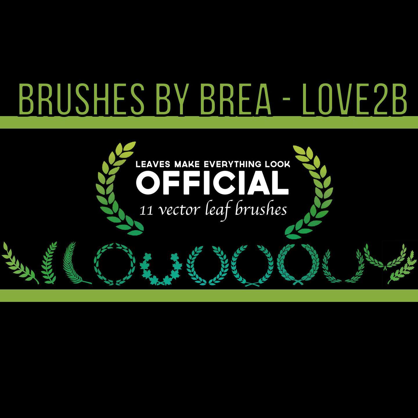  Official Branch Brush Set