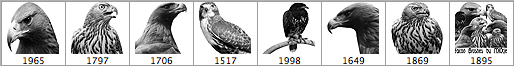 Falcon Brushes - Schematic