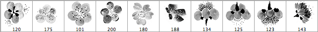 Cherry Flowers Brushes - Schematic